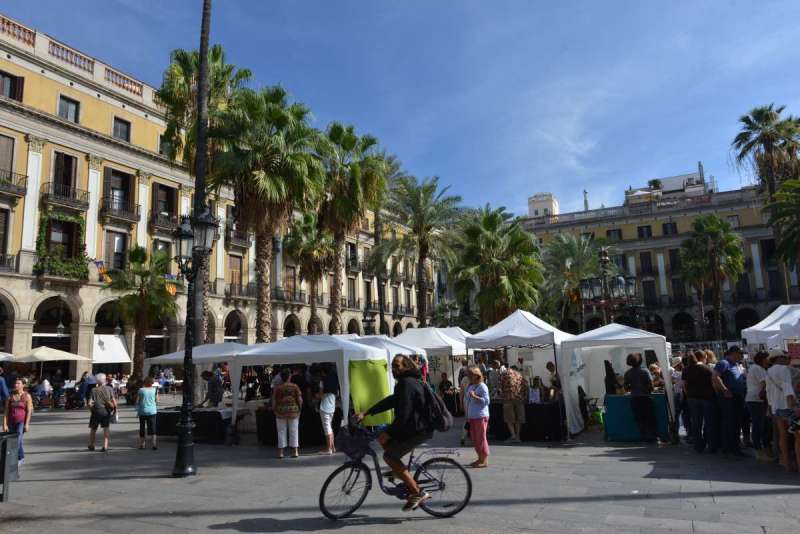 barcelona_peter_0076