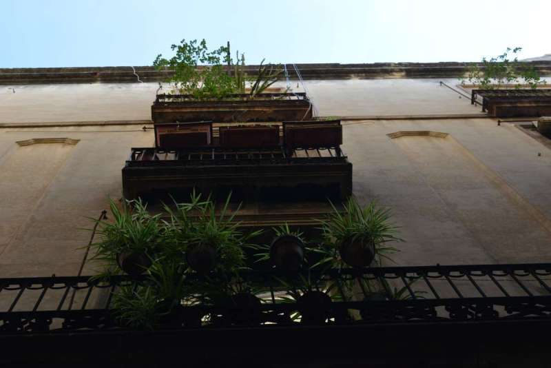 barcelona_peter_0086