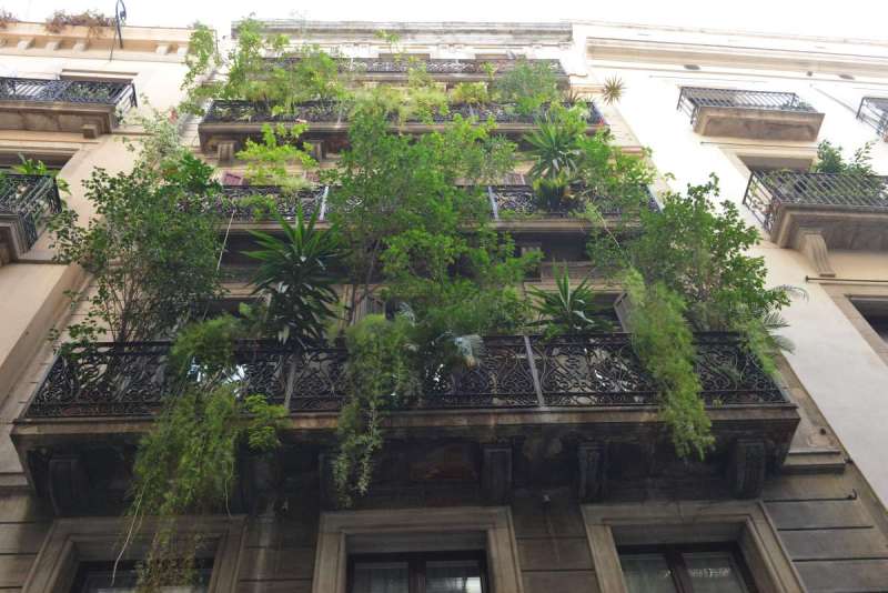 barcelona_peter_0126