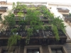 barcelona_peter_0126