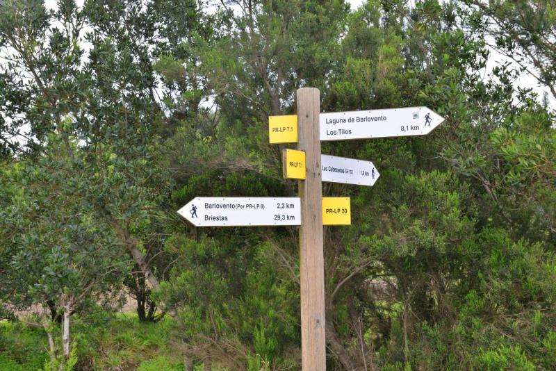 barlovento_faro_cumplida_la_fajana_009