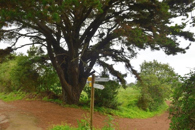 barlovento_faro_cumplida_la_fajana_011