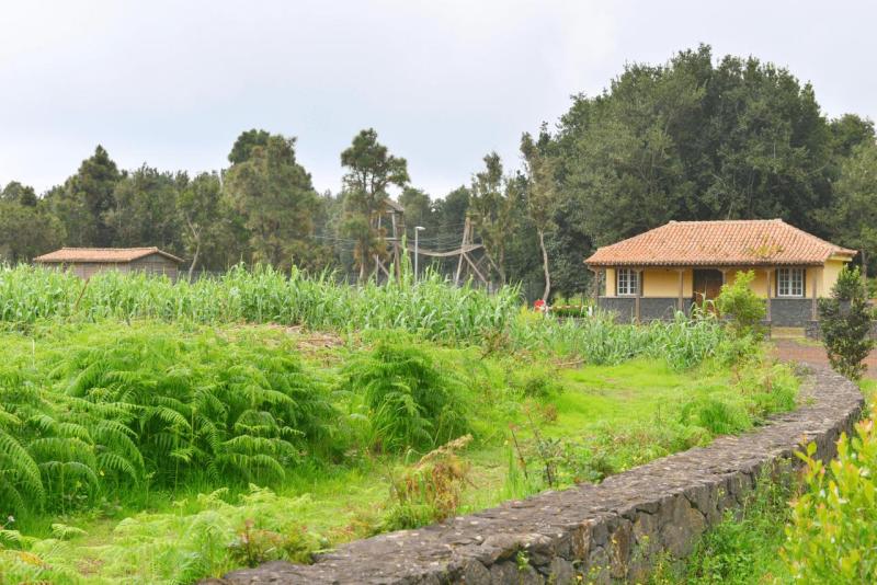 barlovento_faro_cumplida_la_fajana_019