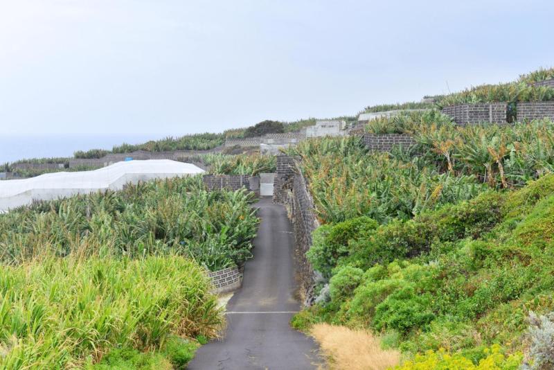 barlovento_faro_cumplida_la_fajana_025