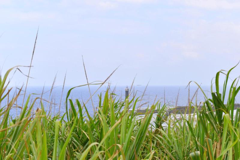 barlovento_faro_cumplida_la_fajana_026