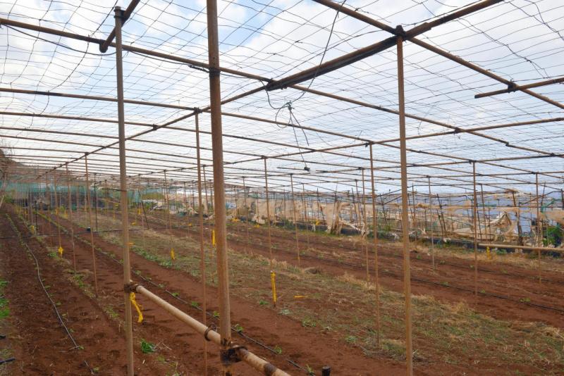 barlovento_faro_cumplida_la_fajana_030