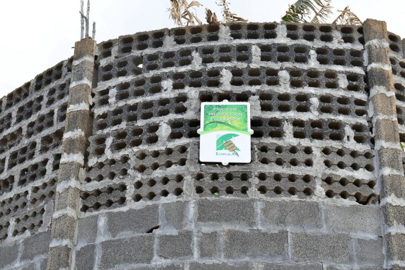 barlovento_faro_cumplida_la_fajana_032