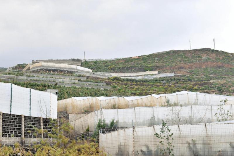 barlovento_faro_cumplida_la_fajana_033