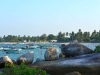 belitong_0056