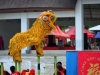 belitong_0131