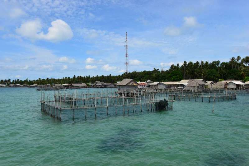benan_0001