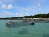 benan_0001