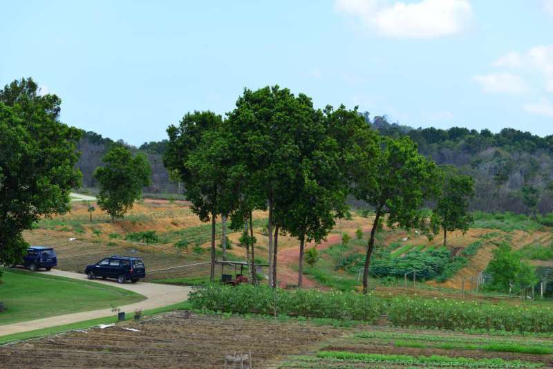 bintan_bandar_0031