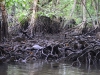 bintan_bandar_0041