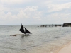 bintan_bandar_0061