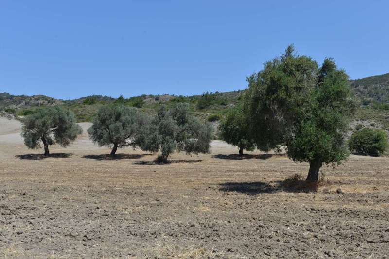 bodrum_datca_turkey_west_0056