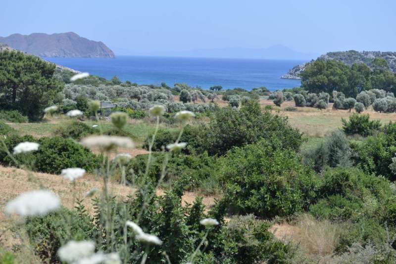bodrum_datca_turkey_west_0086