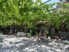 bodrum_datca_turkey_west_0021