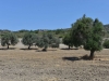 bodrum_datca_turkey_west_0056
