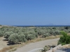 bodrum_datca_turkey_west_0101