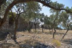 bodrum_to_didim