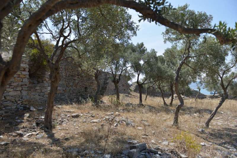 turkey_west2_0116