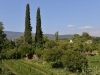 turkey_west2_0051