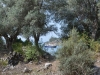 turkey_west2_0071