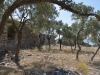turkey_west2_0116