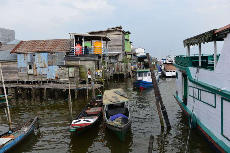 borneo_kumai_0041