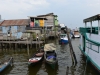 borneo_kumai_0041