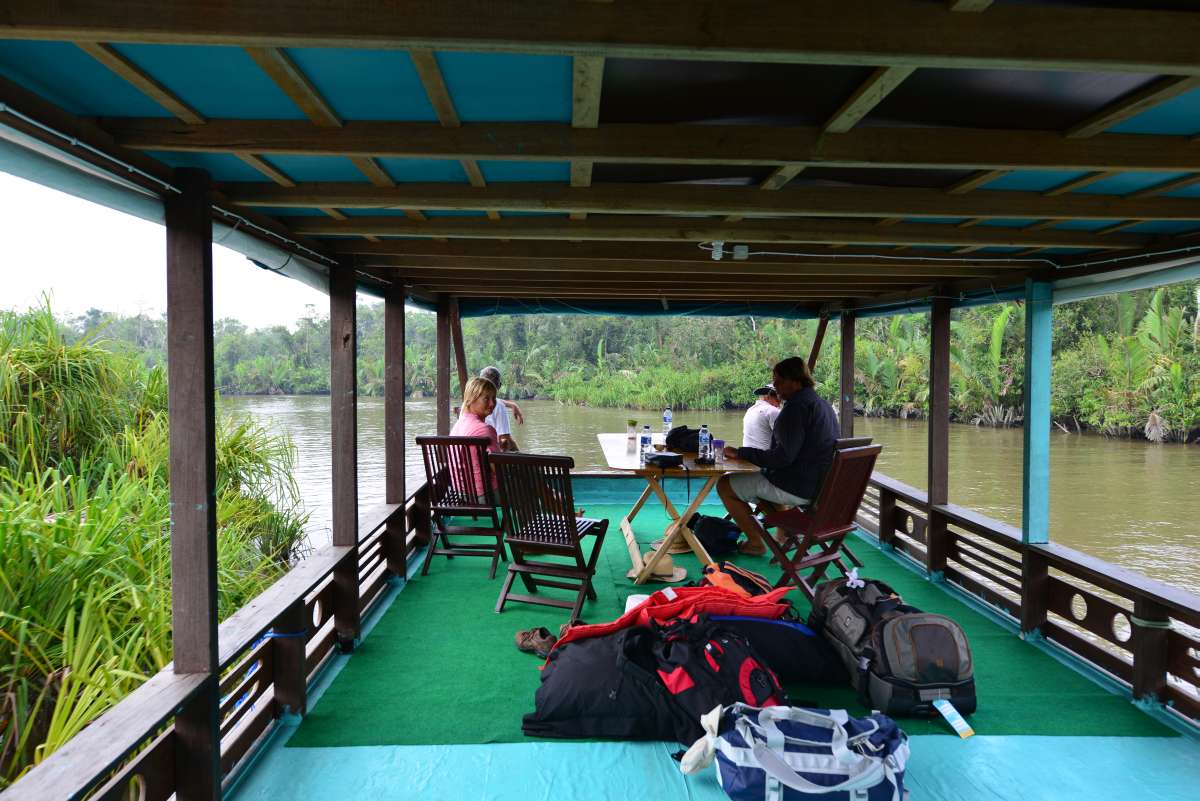 borneo_kumai_urang_utan_0031
