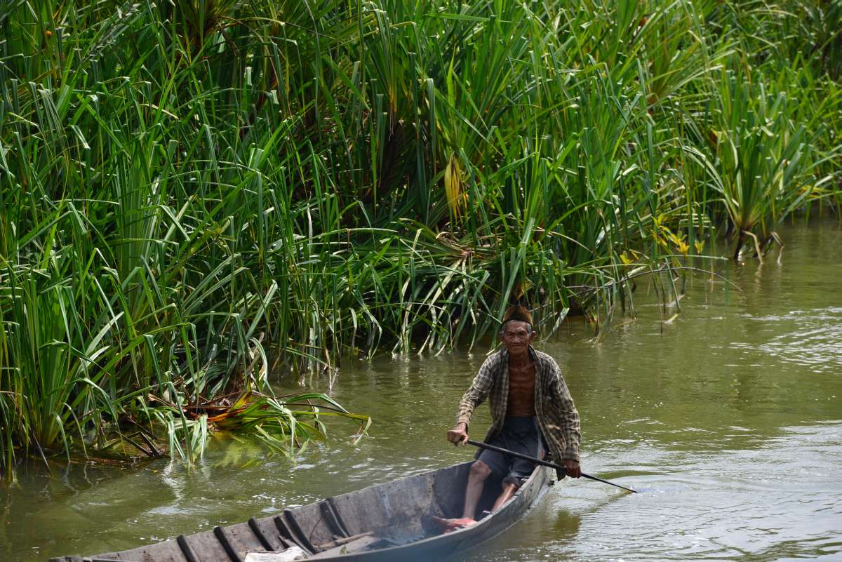 borneo_kumai_urang_utan_0036