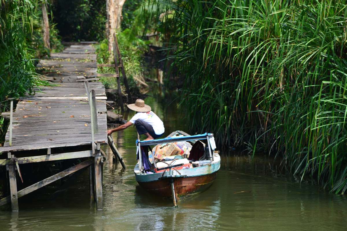 borneo_kumai_urang_utan_0041
