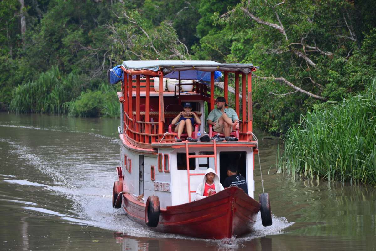 borneo_kumai_urang_utan_0051