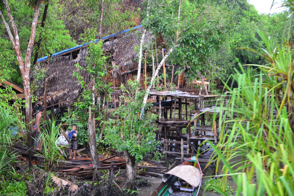 borneo_kumai_urang_utan_0066