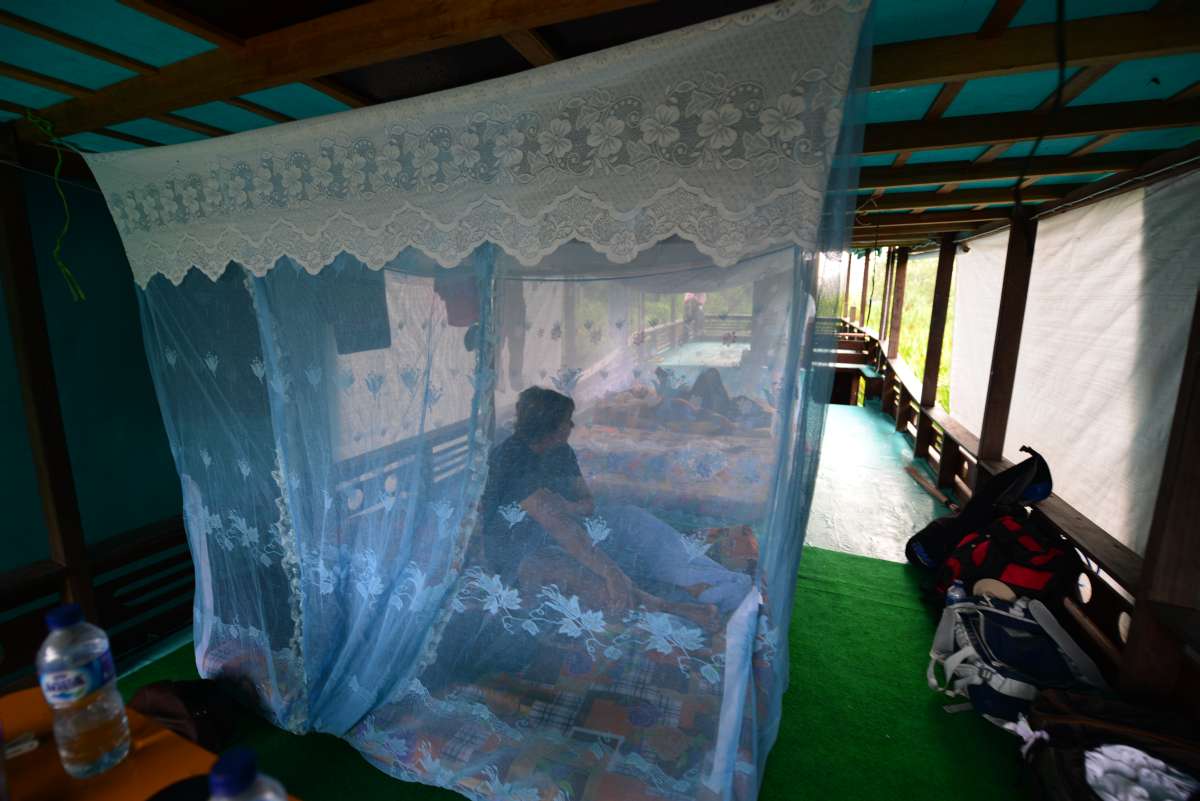 borneo_kumai_urang_utan_0146