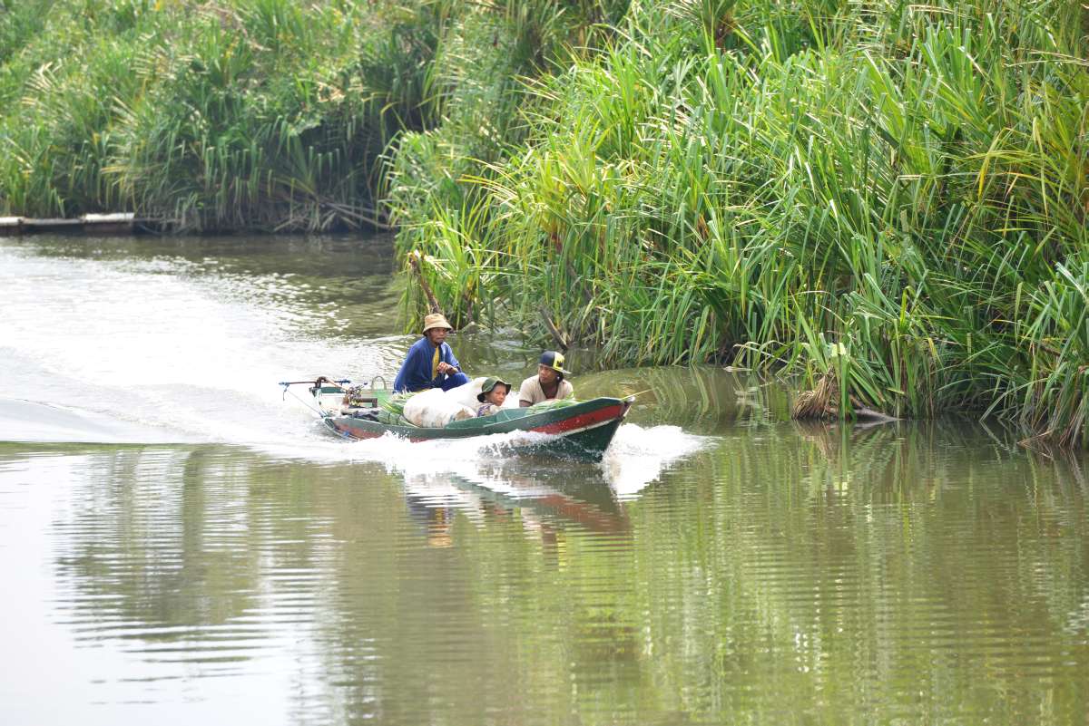 borneo_kumai_urang_utan_0206