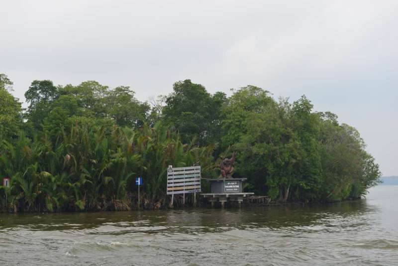 borneo_kumai_urang_utan_0001
