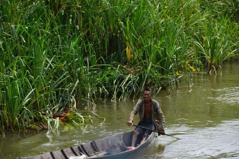 borneo_kumai_urang_utan_0036