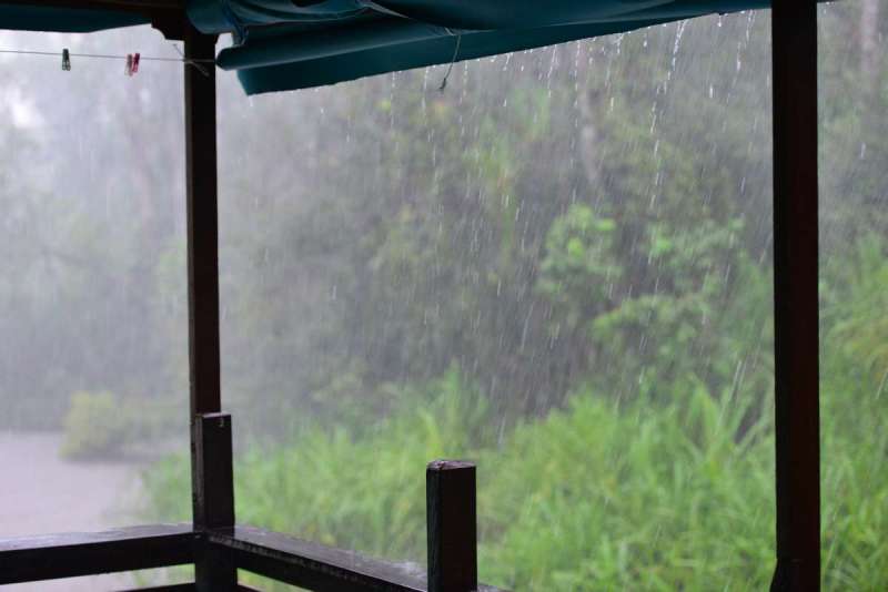 borneo_kumai_urang_utan_0056