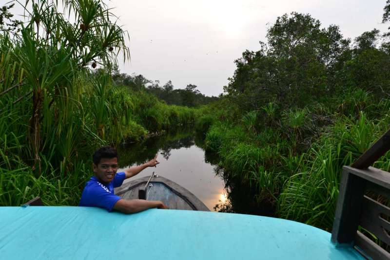 borneo_kumai_urang_utan_0141