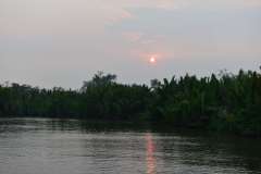 borneo_kumai_urang_utan