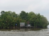 borneo_kumai_urang_utan_0001