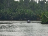 borneo_kumai_urang_utan_0011