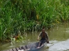 borneo_kumai_urang_utan_0036