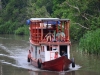 borneo_kumai_urang_utan_0051