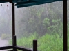 borneo_kumai_urang_utan_0056