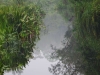 borneo_kumai_urang_utan_0151