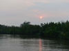 borneo_kumai_urang_utan_0236